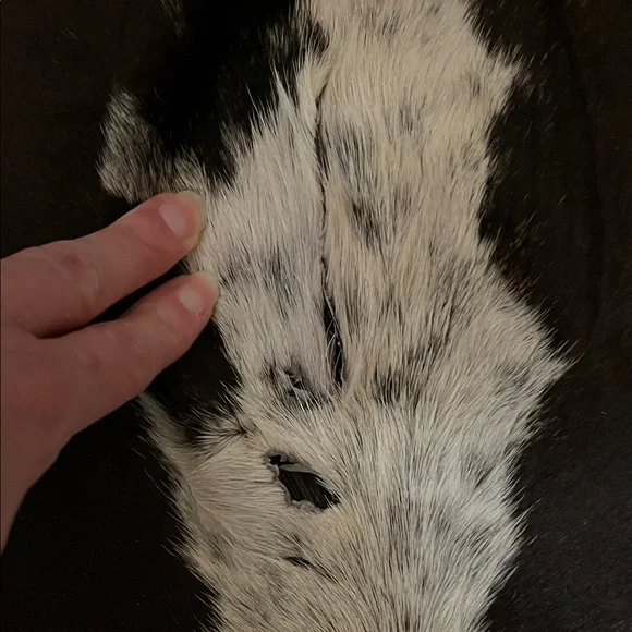 Authentic Cowhide Rug in Brown, Black, and White - Picture 4 of 8